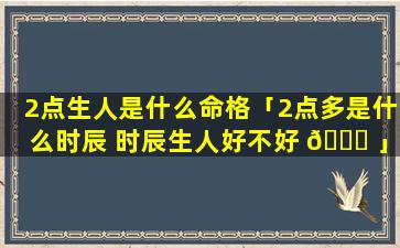 2点生人是什么命格「2点多是什么时辰 时辰生人好不好 💐 」